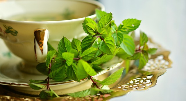 Czy można wypić zbyt dużo zielonej herbaty?